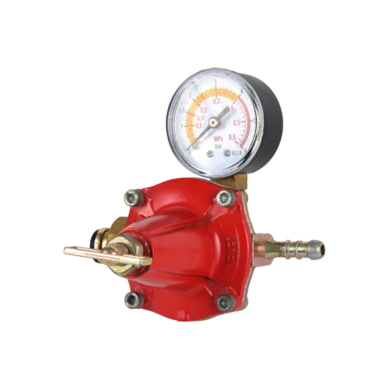 Zinc Body Propane Regulator Various Standard Model for Inlet Connection