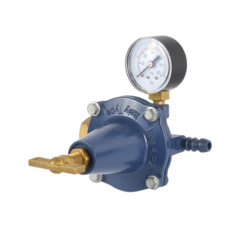 Zinc Body Propane Regulator Various Standard Model for Inlet Connection